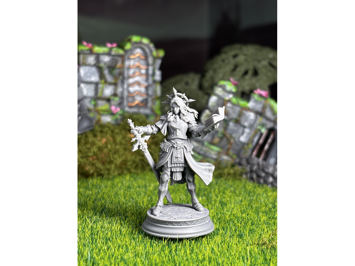 Paladin of Vengeance - Johanna Saffron the Scorned