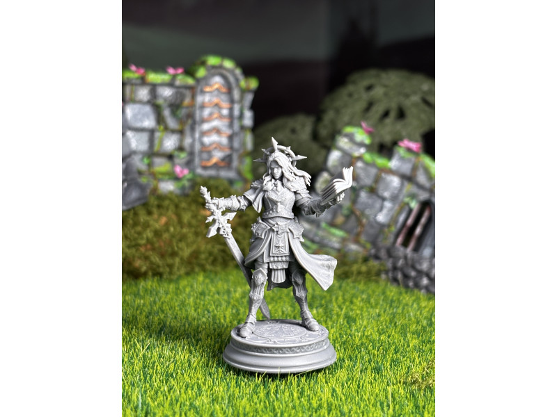 Paladin of Vengeance - Johanna Saffron the Scorned
