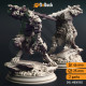 Buy 3d miniature Humanoid. Corsicus, Werewolf Knight. DnDuck Miniatures Store. 3D figures of characters, elves, monsters, bestiaries, landscape, dragons figures and accessories for role-playing games