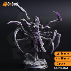 Dirthana of the Void’s Embrace – Ascended Spider Sorceress