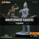 Buy 3d miniature Humanoid. Whisperwood Rangers. DnDuck Miniatures Store. 3D figures of characters, elves, monsters, bestiaries, landscape, dragons figures and accessories for role-playing games