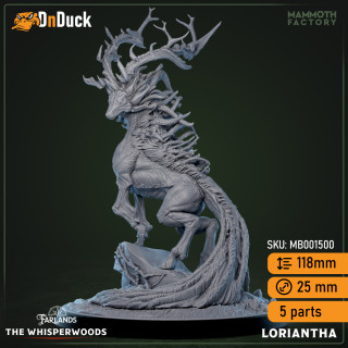 Loriantha