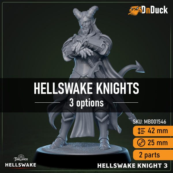Buy 3d miniature Humanoid. Hellswake Knights. DnDuck Miniatures Store. 3D figures of characters, elves, monsters, bestiaries, landscape, dragons figures and accessories for role-playing games
