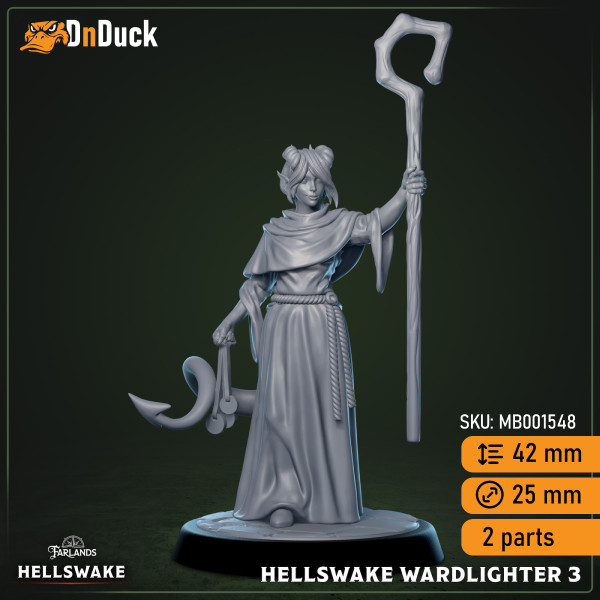 Buy 3d miniature Humanoid. Hellswake Wardlighters. DnDuck Miniatures Store. 3D figures of characters, elves, monsters, bestiaries, landscape, dragons figures and accessories for role-playing games