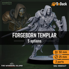 Buy  Forgeborn Templar . DnDuck Miniatures Store. 3D figures of characters, elves, monsters, bestiaries, landscape, dragons figures and accessories for role-playing games