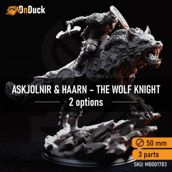 Skjolnir & Haarn – The Wolf Knight