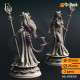 Buy 3d miniature Tiefling Cleric / Wizard / Sorcerer. Tharia Moonshadow, Tiefling Moon Cleric. DnDuck Miniatures Store. 3D figures of characters, elves, monsters, bestiaries, landscape, dragons figures and accessories for role-playing games