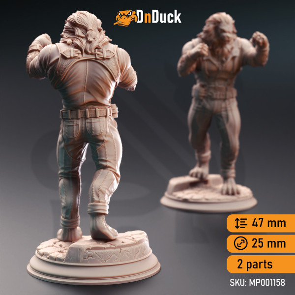 Buy 3d miniature Tabaxi Monk. Lionfolk Pugilist - Vaa'dren. DnDuck Miniatures Store. 3D figures of characters, elves, monsters, bestiaries, landscape, dragons figures and accessories for role-playing games
