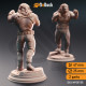 Buy 3d miniature Tabaxi Monk. Lionfolk Pugilist - Vaa'dren. DnDuck Miniatures Store. 3D figures of characters, elves, monsters, bestiaries, landscape, dragons figures and accessories for role-playing games