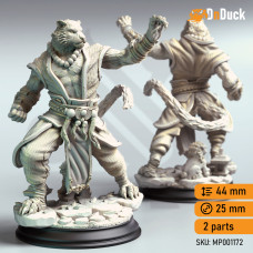 Tabaxi Tiger Monk - Raiko