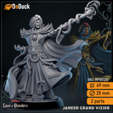 Buy  Janeer Grand Vizier . DnDuck Miniatures Store. 3D figures of characters, elves, monsters, bestiaries, landscape, dragons figures and accessories for role-playing games