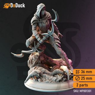 Drow Swamp Ranger - Exrin
