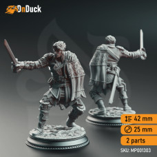 Half-Elf Swashbuckler - Corin of Lamhet