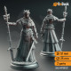 Buy 3d miniature Elf Cleric. Half-Elf War Maiden Cleric - Evana the Proselytizer. DnDuck Miniatures Store. 3D figures of characters, elves, monsters, bestiaries, landscape, dragons figures and accessories for role-playing games