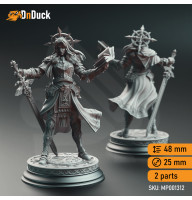 Paladin of Vengeance - Johanna Saffron the Scorned