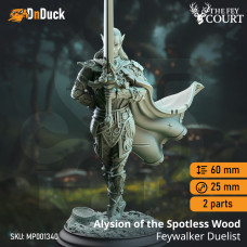 Buy  Alysion of the Spotless Wood – Feywalker Duelist . DnDuck Miniatures Store. 3D figures of characters, elves, monsters, bestiaries, landscape, dragons figures and accessories for role-playing games