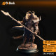 Buy 3d miniature Dragonborn Paladin. Apokris the Resolute. DnDuck Miniatures Store. 3D figures of characters, elves, monsters, bestiaries, landscape, dragons figures and accessories for role-playing games