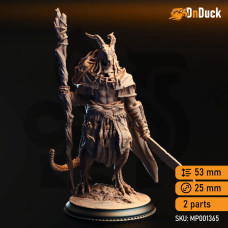 Buy  Horzin Ashen-Palm – Black Dragonkin Druid . DnDuck Miniatures Store. 3D figures of characters, elves, monsters, bestiaries, landscape, dragons figures and accessories for role-playing games