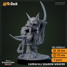 Buy  Carracali Shadow Weaver . DnDuck Miniatures Store. 3D figures of characters, elves, monsters, bestiaries, landscape, dragons figures and accessories for role-playing games