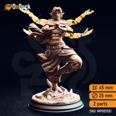 Caryian – Monk of the Astral Sun