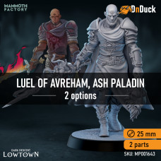 Buy  Luel of Avreham, Ash Paladin . DnDuck Miniatures Store. 3D figures of characters, elves, monsters, bestiaries, landscape, dragons figures and accessories for role-playing games