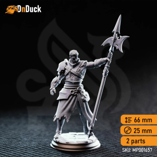 Andrek Strongarm – Hexhunter Gladiator