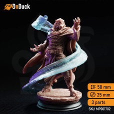 Buy  Za’kar – Student of the Scroll . DnDuck Miniatures Store. 3D figures of characters, elves, monsters, bestiaries, landscape, dragons figures and accessories for role-playing games
