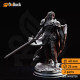 Buy 3d miniature Human. Fighter / Paladin. Alwine von Findros – Elite Marine Knight. DnDuck Miniatures Store. 3D figures of characters, elves, monsters, bestiaries, landscape, dragons figures and accessories for role-playing games