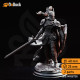 Buy 3d miniature Human. Fighter / Paladin. Alwine von Findros – Elite Marine Knight. DnDuck Miniatures Store. 3D figures of characters, elves, monsters, bestiaries, landscape, dragons figures and accessories for role-playing games