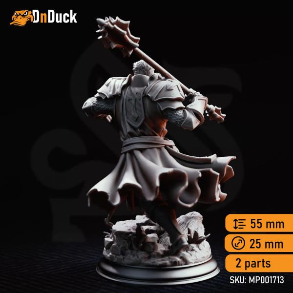 Buy 3d miniature Human. Paladin / Fighter / Cleric. Thaddeus the Fortress – Horauthin’s Favoured. DnDuck Miniatures Store. 3D figures of characters, elves, monsters, bestiaries, landscape, dragons figures and accessories for role-playing games