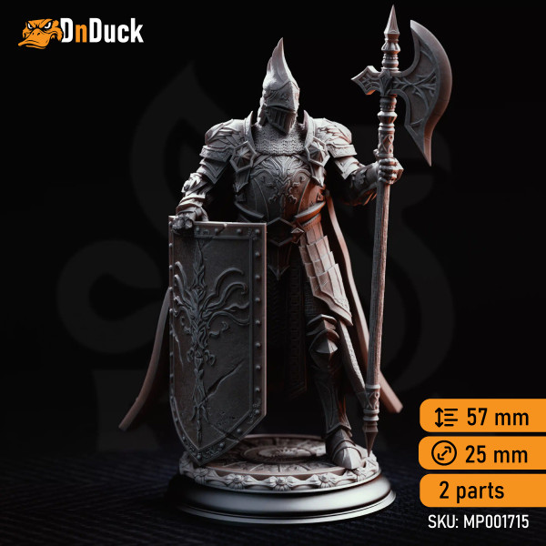 Buy 3d miniature Human. Fighter / Paladin. Lars von Findros - Elite Knight of the North. DnDuck Miniatures Store. 3D figures of characters, elves, monsters, bestiaries, landscape, dragons figures and accessories for role-playing games