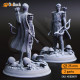 Buy 3d miniature Humanoid / Elf / Drow. Irinax's Chosen, Drow Soldiers. DnDuck Miniatures Store. 3D figures of characters, elves, monsters, bestiaries, landscape, dragons figures and accessories for role-playing games
