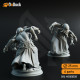 Buy 3d miniature Illithid. Ascended Flayers of Hendrak. DnDuck Miniatures Store. 3D figures of characters, elves, monsters, bestiaries, landscape, dragons figures and accessories for role-playing games