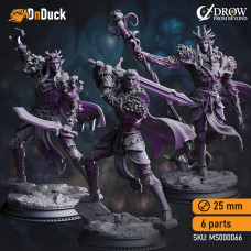 Buy  The Blessed – Servants of Vaezirak . DnDuck Miniatures Store. 3D figures of characters, elves, monsters, bestiaries, landscape, dragons figures and accessories for role-playing games